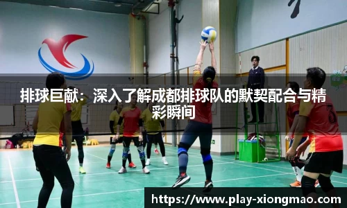 排球巨献：深入了解成都排球队的默契配合与精彩瞬间
